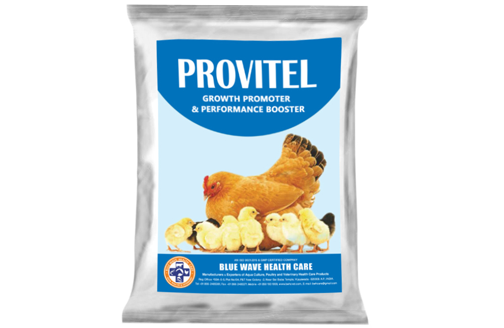 PROVITEL (Growth Promoter & Performance Booster)